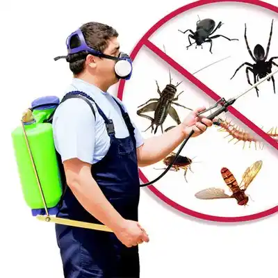 pest control Sawyerwood